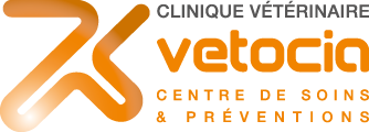 Vetocia-2L_120
