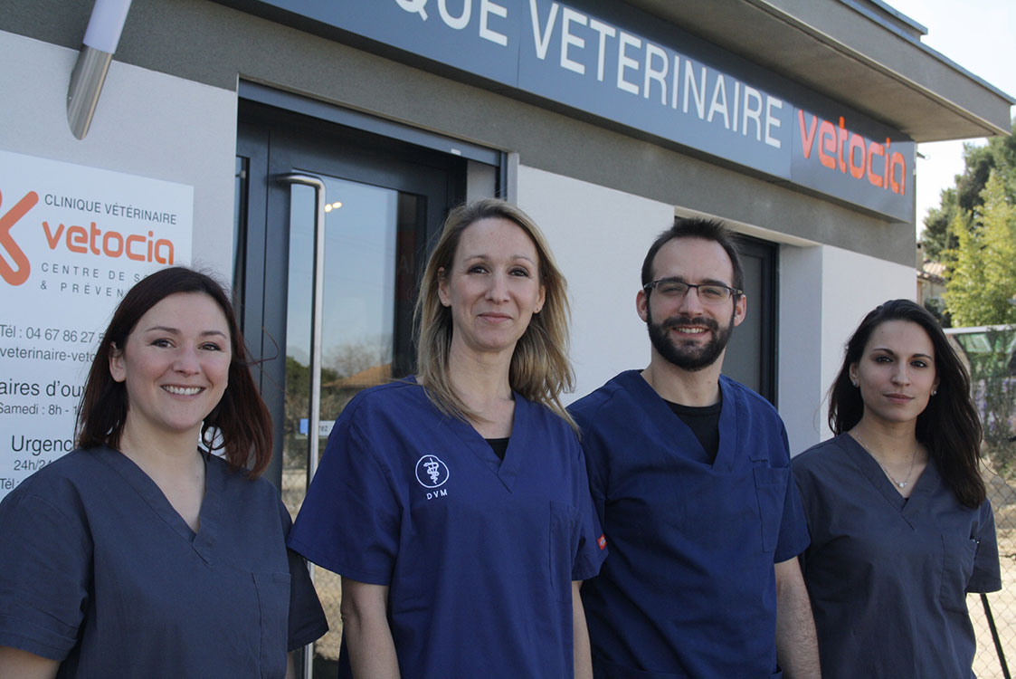 Clinique vétérinaire VETOCIA  – équipe