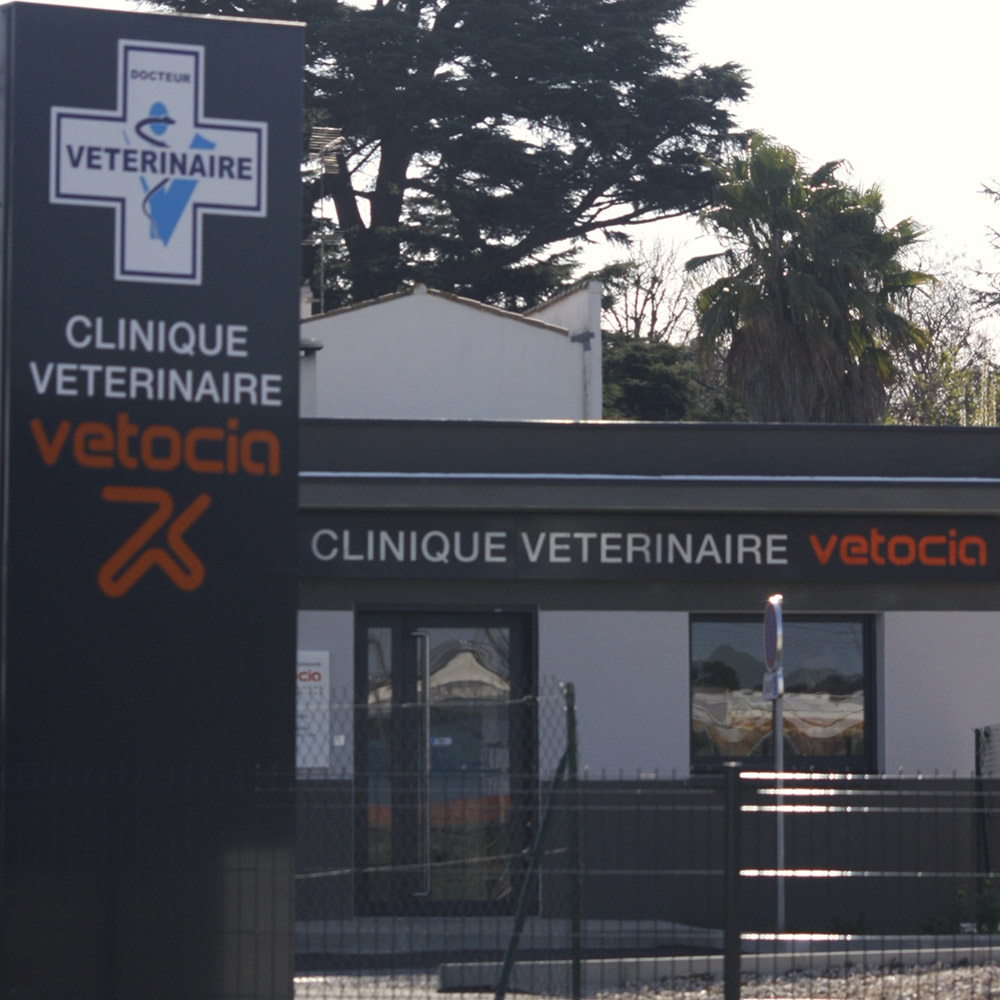 Clinique vétérinaire VETOCIA - extérieur