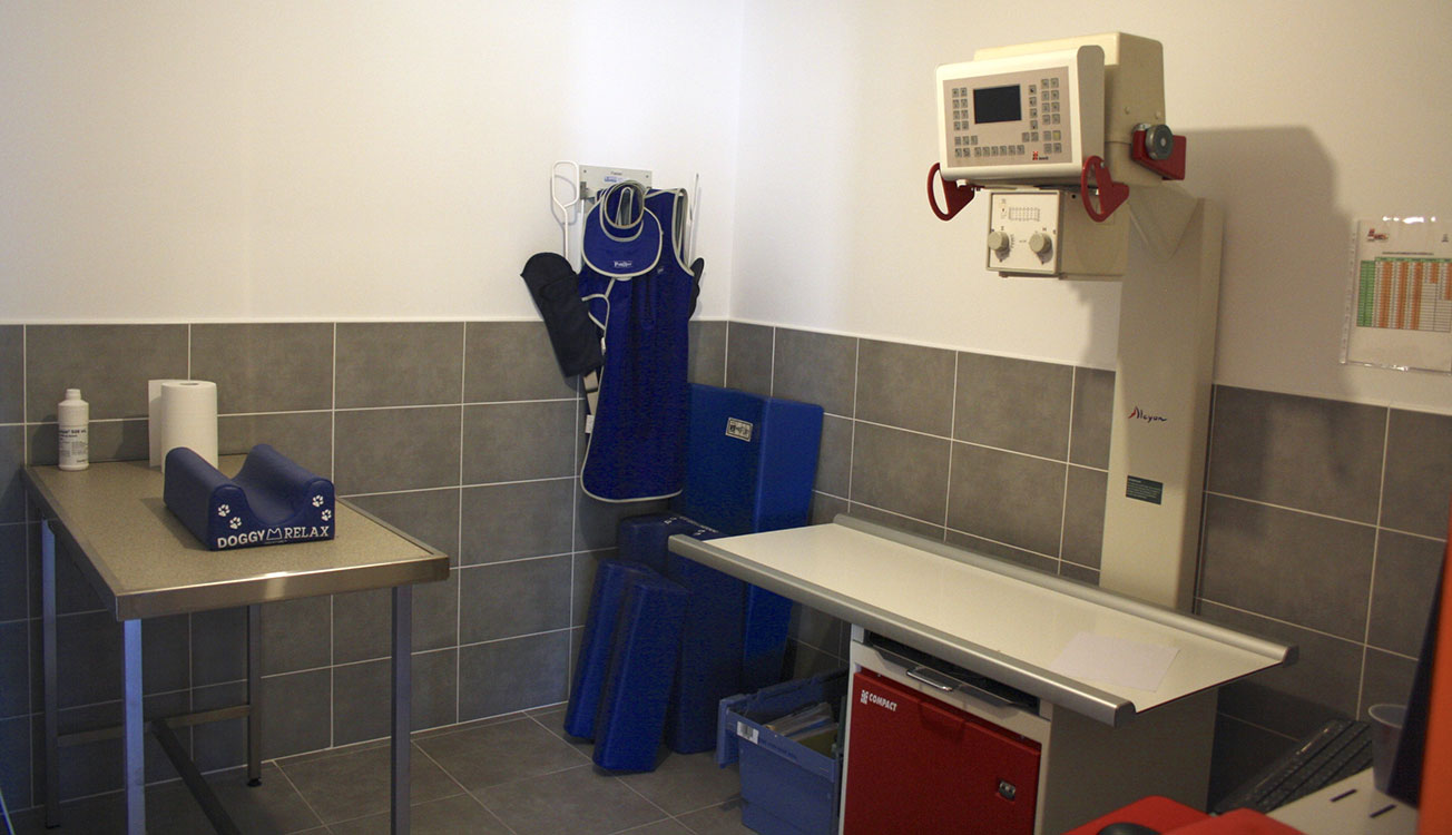 Clinique vétérinaire VETOCIA  – intérieur