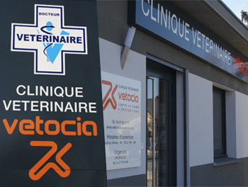 Clinique Vétérinaire Castelnau le Lez