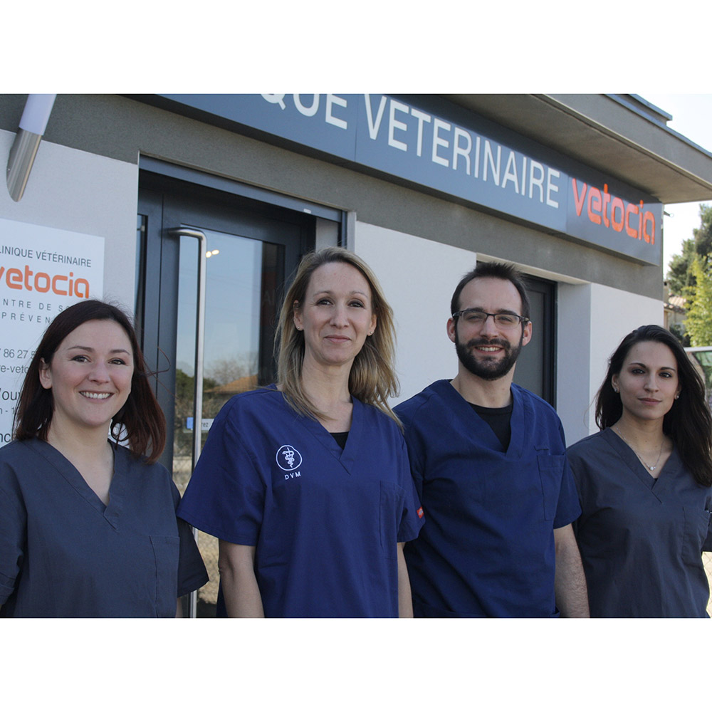 Clinique vétérinaire VETOCIA  – équipe