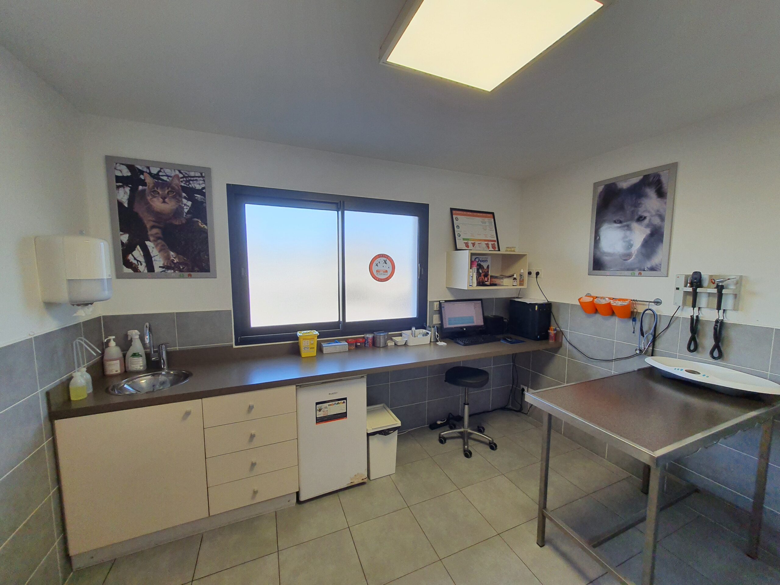 02 – Vétocia Castelnau – Consultations